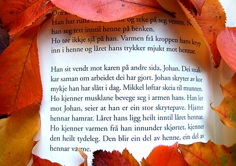 Utdrag fra Ingen må vite av Aina Basso (2008, s40).